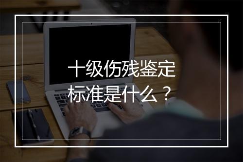 十级伤残鉴定标准是什么？