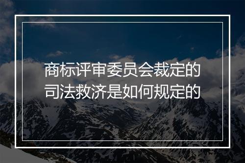 商标评审委员会裁定的司法救济是如何规定的