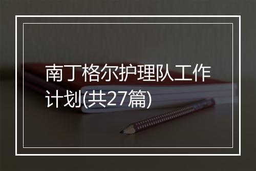 南丁格尔护理队工作计划(共27篇)
