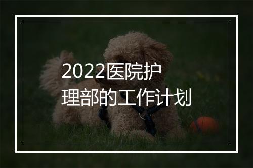 2022医院护理部的工作计划