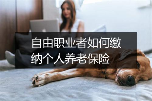 自由职业者如何缴纳个人养老保险