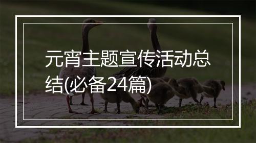 元宵主题宣传活动总结(必备24篇)