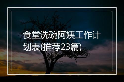 食堂洗碗阿姨工作计划表(推荐23篇)