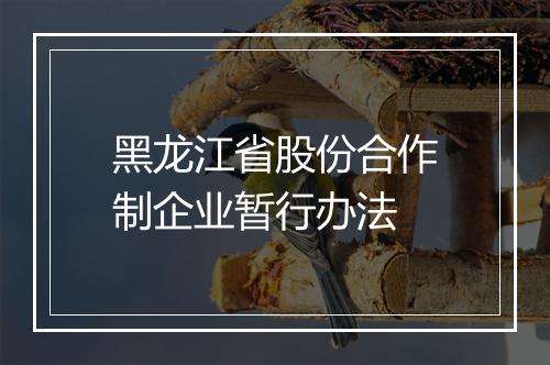 黑龙江省股份合作制企业暂行办法