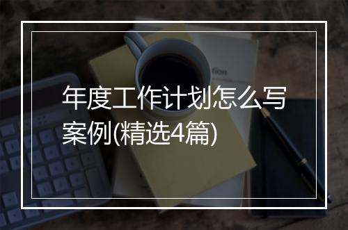 年度工作计划怎么写案例(精选4篇)