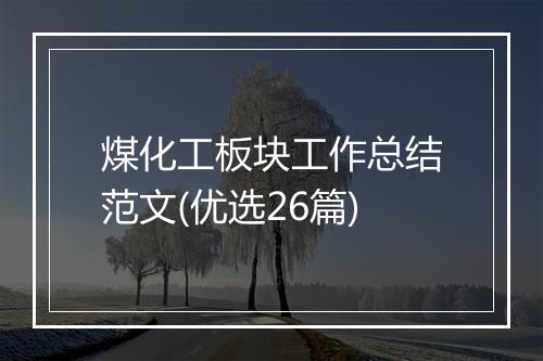 煤化工板块工作总结范文(优选26篇)