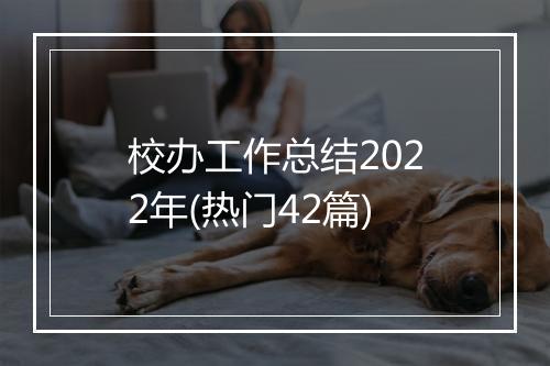 校办工作总结2022年(热门42篇)