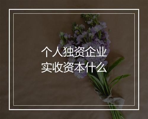 个人独资企业实收资本什么