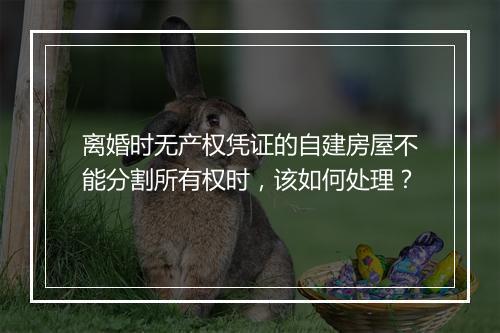 离婚时无产权凭证的自建房屋不能分割所有权时，该如何处理？