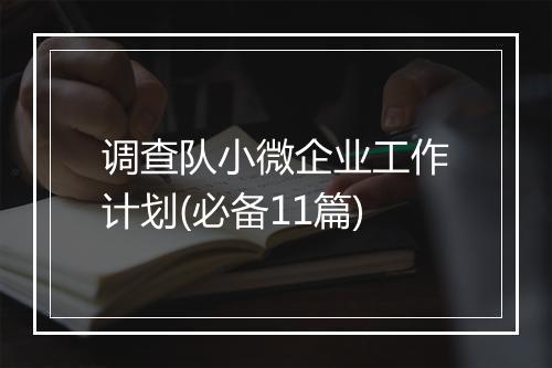 调查队小微企业工作计划(必备11篇)