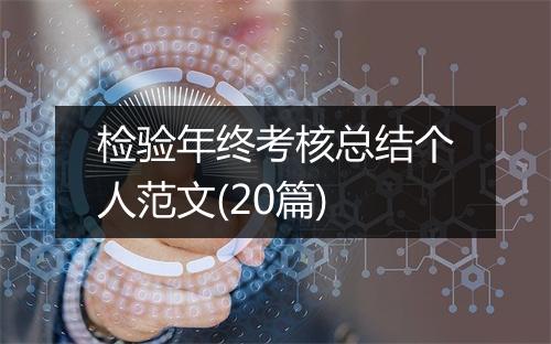 检验年终考核总结个人范文(20篇)