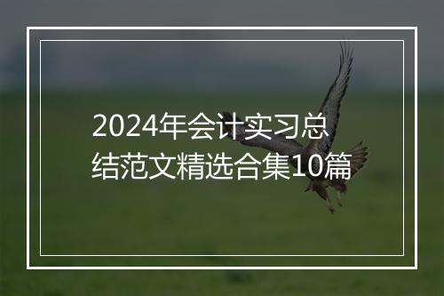 2024年会计实习总结范文精选合集10篇