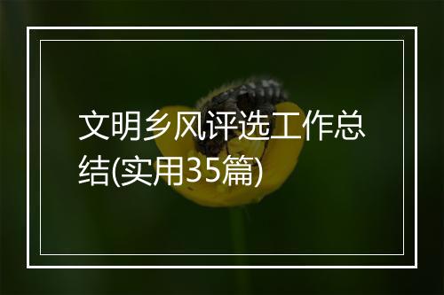 文明乡风评选工作总结(实用35篇)