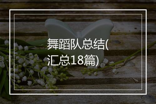 舞蹈队总结(汇总18篇)