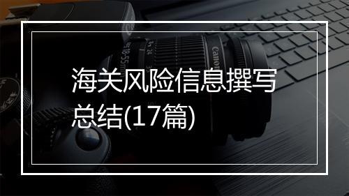 海关风险信息撰写总结(17篇)