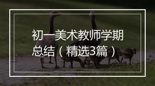 初一美术教师学期总结（精选3篇）