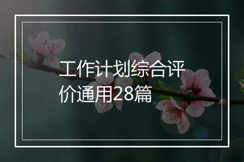 工作计划综合评价通用28篇