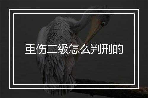 重伤二级怎么判刑的