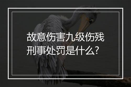 故意伤害九级伤残刑事处罚是什么?