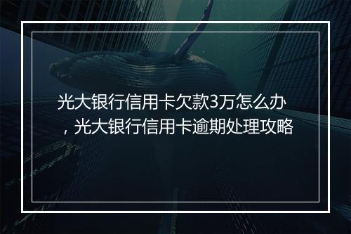 光大银行信用卡欠款3万怎么办，光大银行信用卡逾期处理攻略
