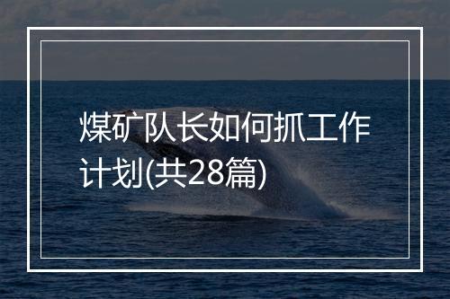 煤矿队长如何抓工作计划(共28篇)