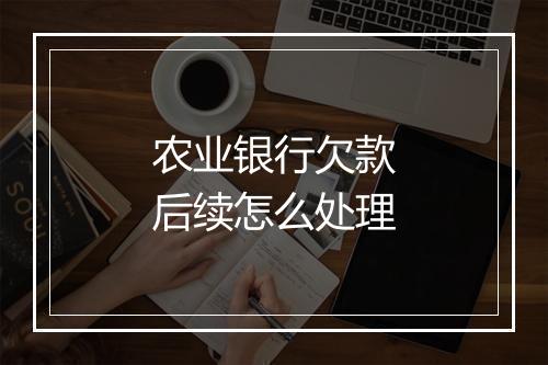 农业银行欠款后续怎么处理