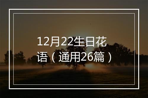 12月22生日花语（通用26篇）