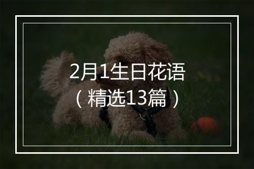2月1生日花语（精选13篇）