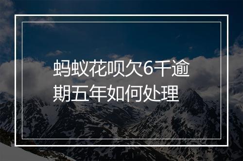 蚂蚁花呗欠6千逾期五年如何处理