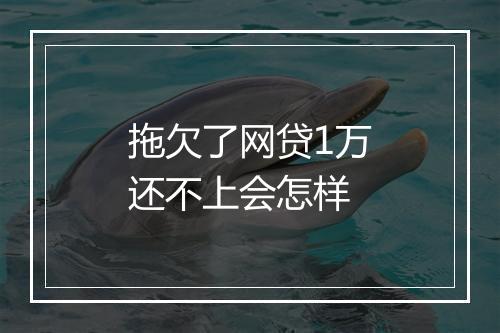 拖欠了网贷1万还不上会怎样