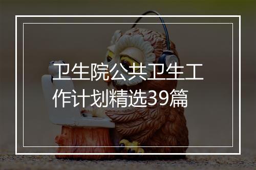 卫生院公共卫生工作计划精选39篇
