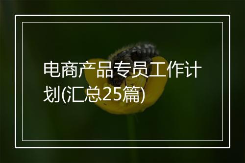 电商产品专员工作计划(汇总25篇)
