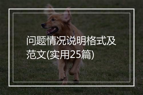 问题情况说明格式及范文(实用25篇)