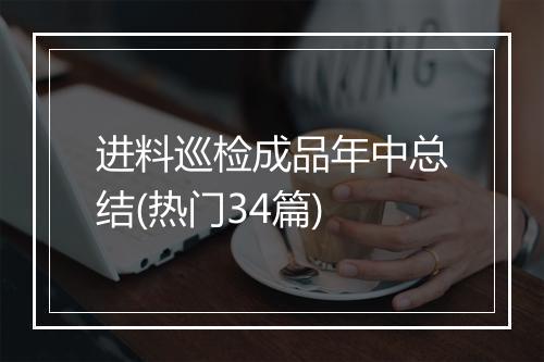 进料巡检成品年中总结(热门34篇)