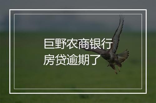 巨野农商银行房贷逾期了