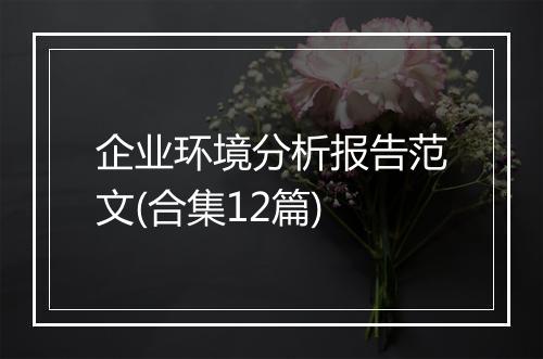 企业环境分析报告范文(合集12篇)