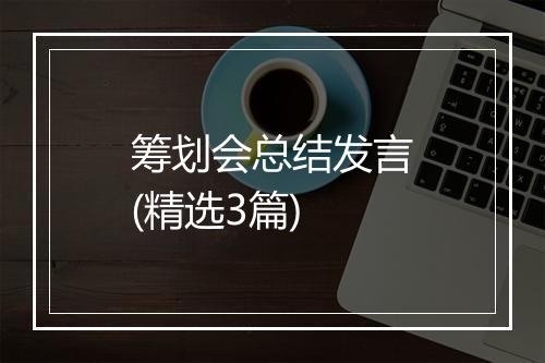 筹划会总结发言(精选3篇)