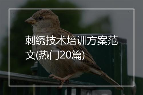 刺绣技术培训方案范文(热门20篇)