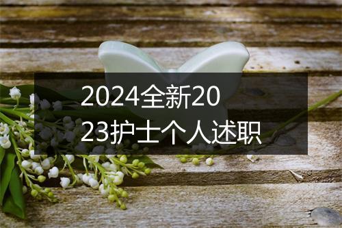 2024全新2023护士个人述职
