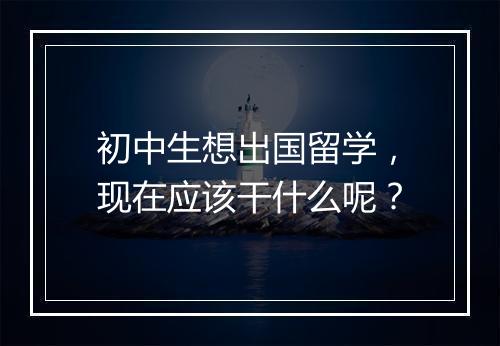初中生想出国留学，现在应该干什么呢？