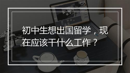 初中生想出国留学，现在应该干什么工作？