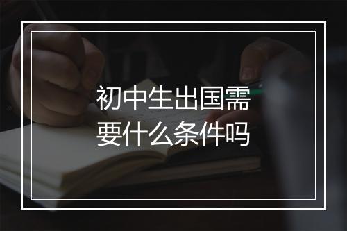 初中生出国需要什么条件吗