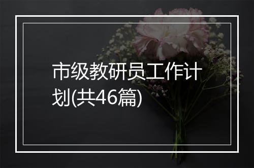 市级教研员工作计划(共46篇)