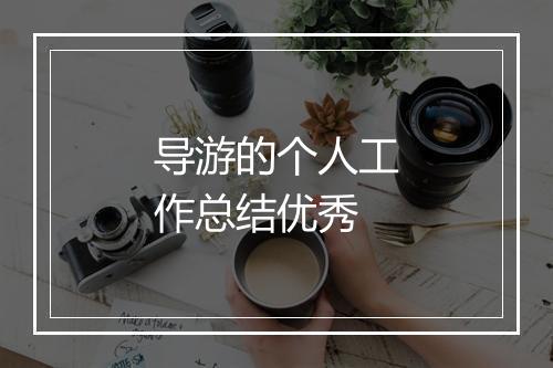 导游的个人工作总结优秀