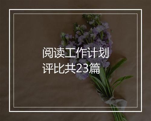 阅读工作计划评比共23篇