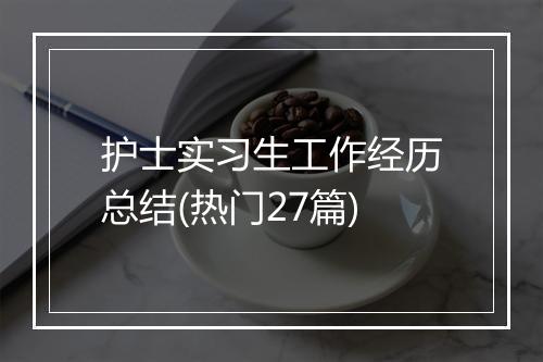 护士实习生工作经历总结(热门27篇)