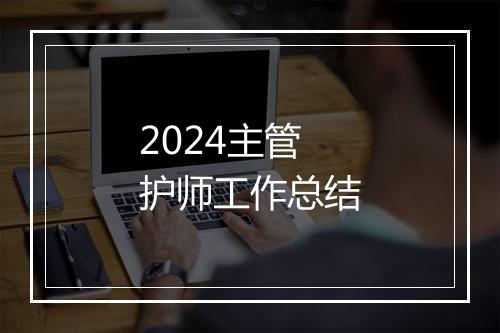 2024主管护师工作总结