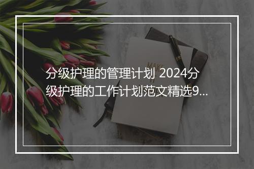 分级护理的管理计划 2024分级护理的工作计划范文精选9篇
