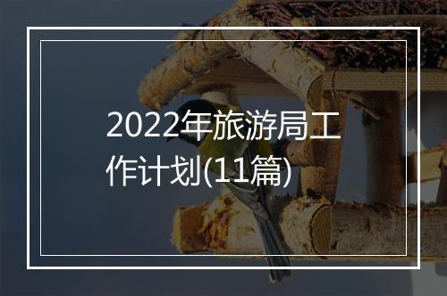 2022年旅游局工作计划(11篇)
