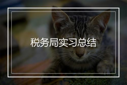 税务局实习总结